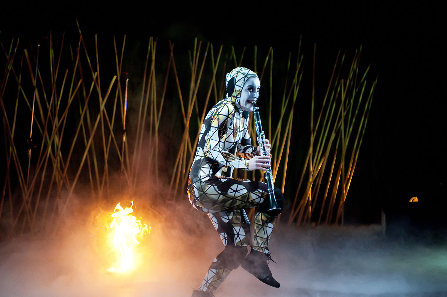 Funkelkonzert L / Der Kleine Harlekin © Dimo Dimov Funkelkonzert L / Der Kleine Harlekin