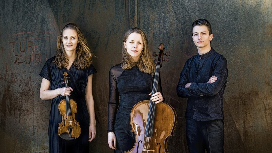 Orchester der Universität zu Lübeck / Amelio Trio