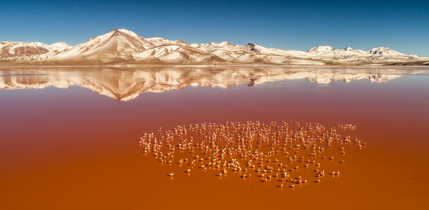 Laguna Colorada in Bolivia
