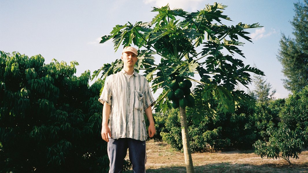 Lauer / Wulff / Strauß // Andres Coll