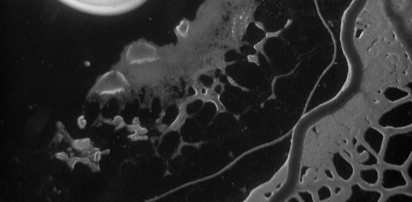 Minute Bodies Filmstill