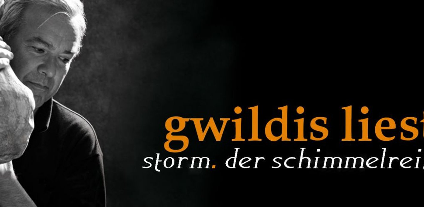 Stefan Gwildis