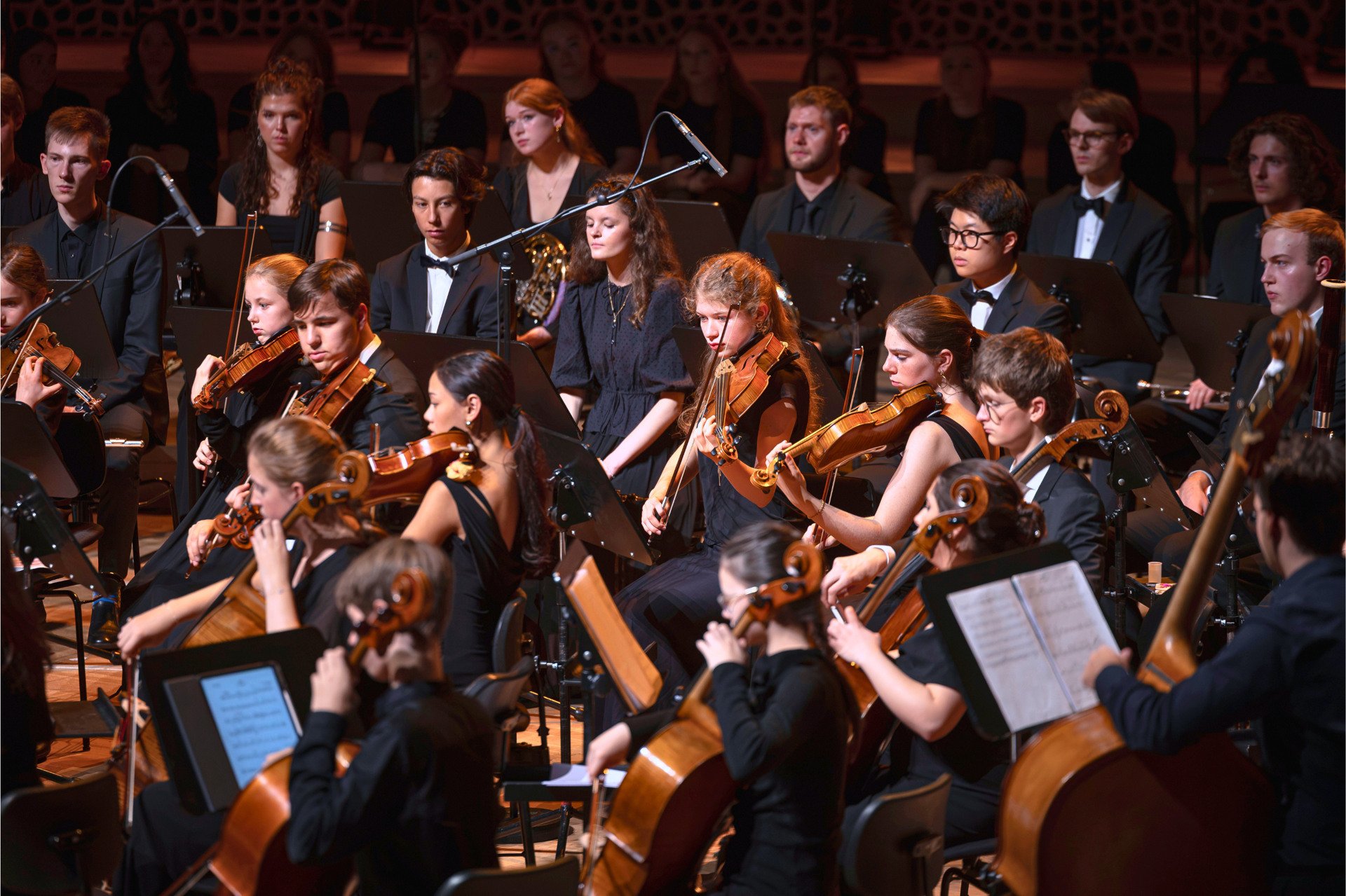 Concert performance