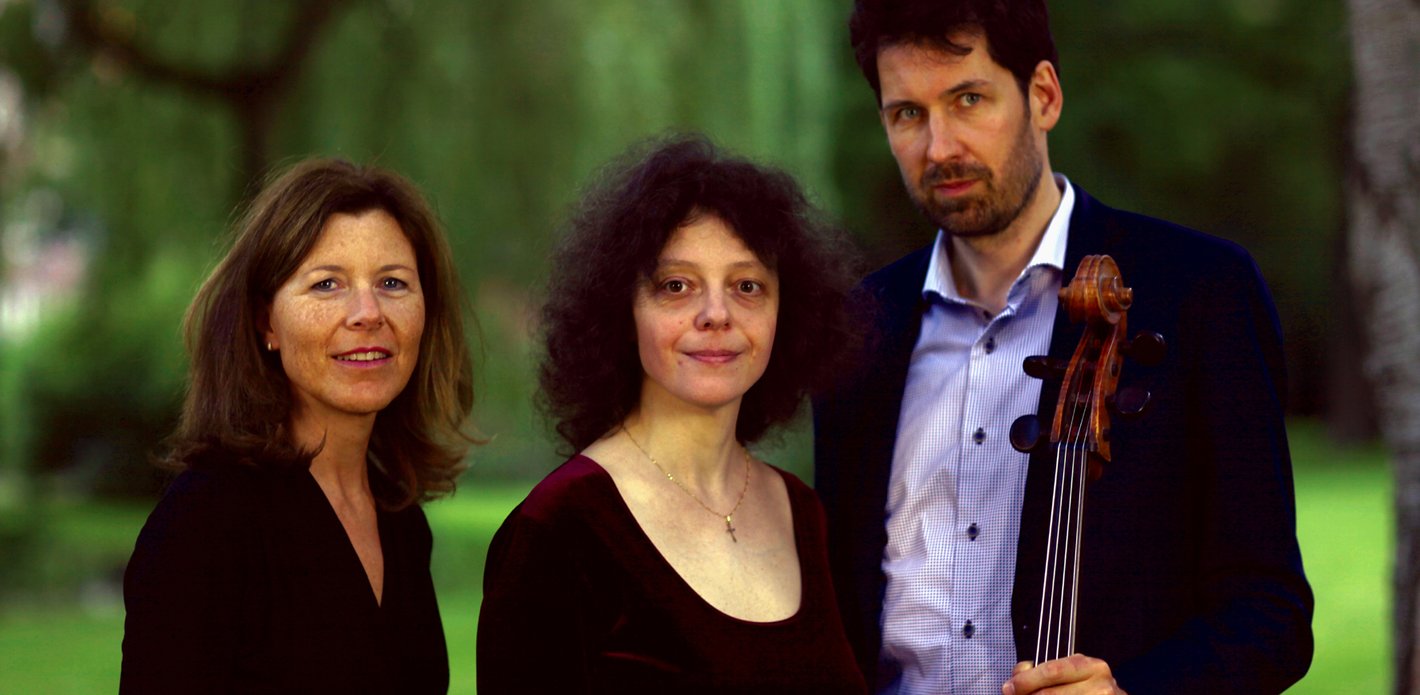 Steinhardt / Savova / Stromberg