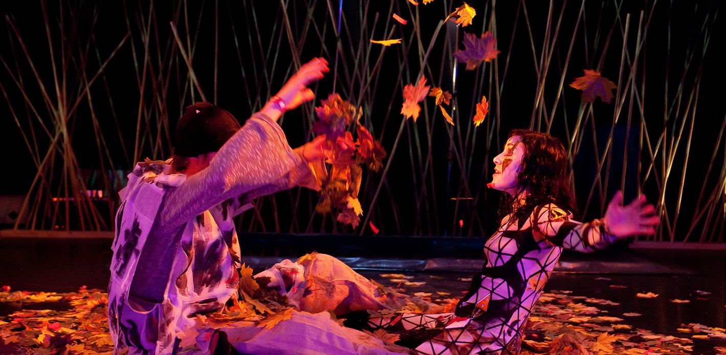 Funkelkonzert L / Der Kleine Harlekin