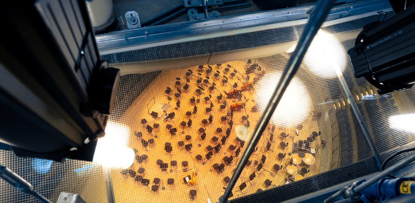 Elbphilharmonie »Catwalk«