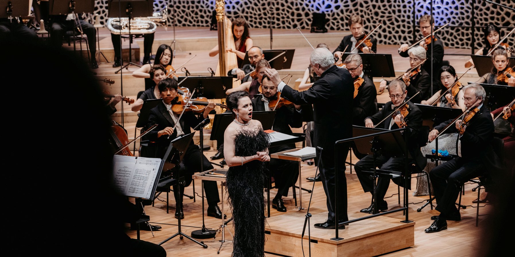 Silvesterkonzert des NDR Elbphilharmonie Orchester 2025/26