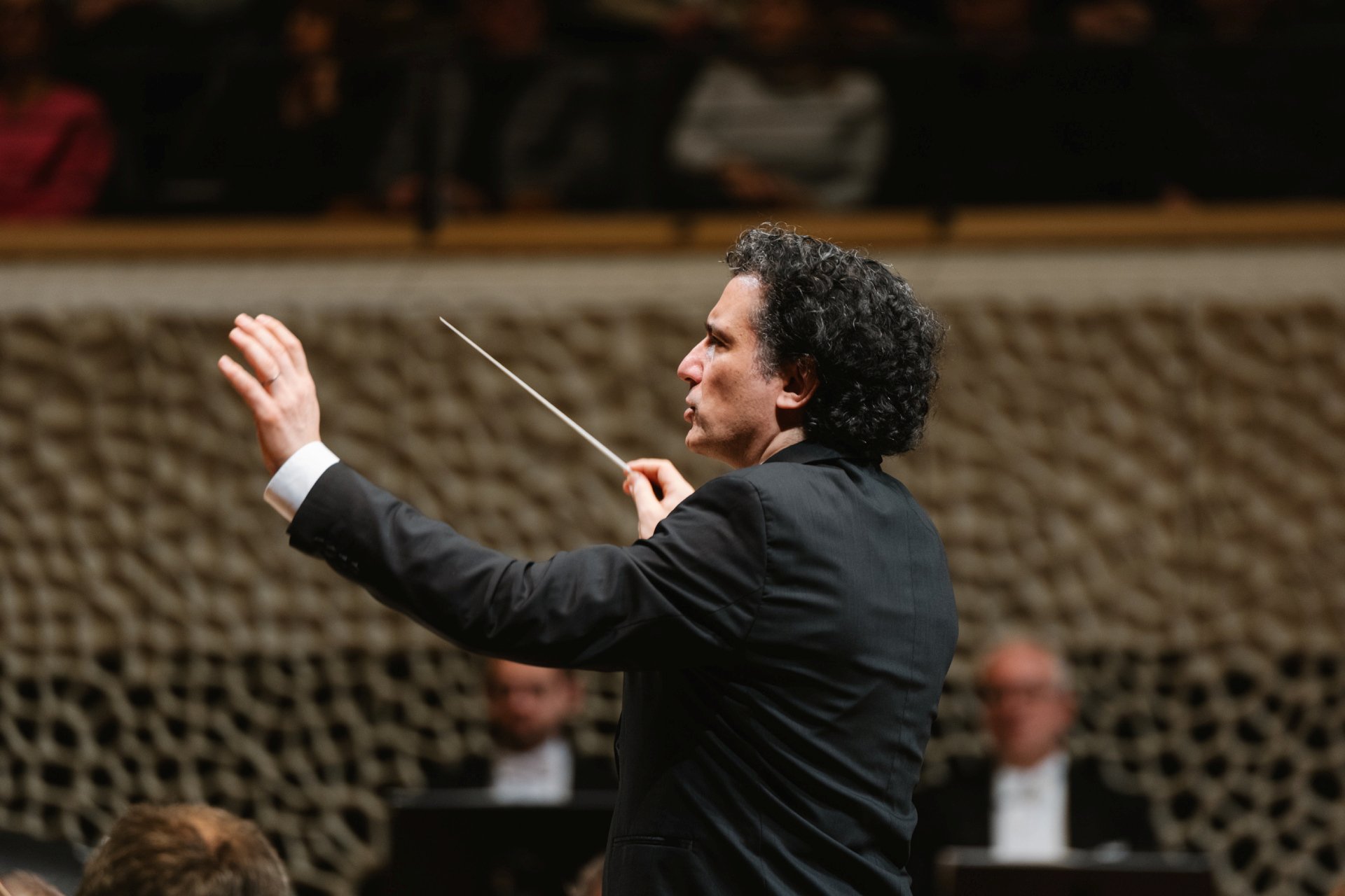 Concert performance
